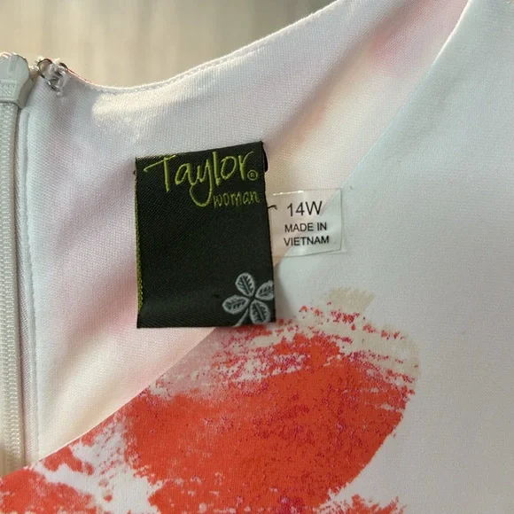 TAYLOR
Plus Size Lace-Inset Midi Dress - Picture 7 of 11